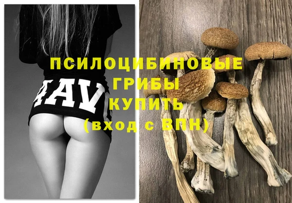 синтетический гашиш Верхний Тагил
